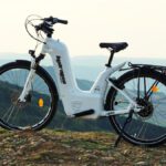 Foros bicicletas eléctricas: la solución sostenible para el transporte